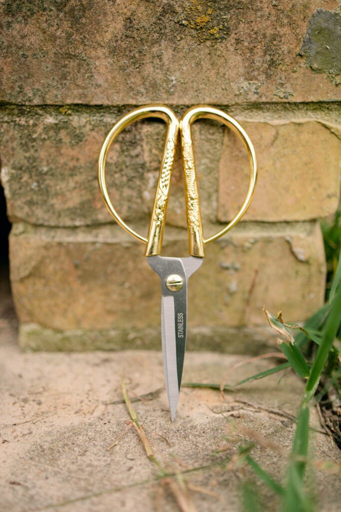 Sharp pruning shears outdoors with ergonomic handle and gold color to help stop African violet from dying and revive it.