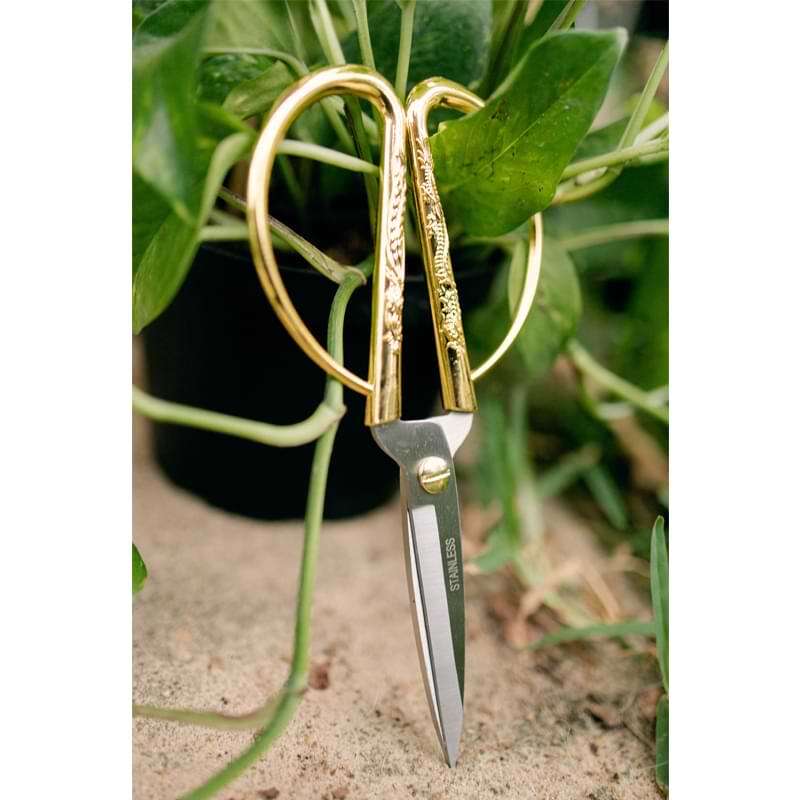 Houseplant Scissors and Pruning Shears