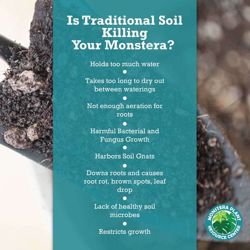 Premium Monstera Potting Soil