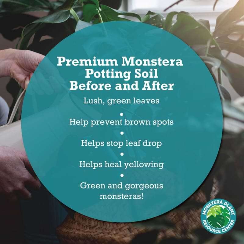 Premium Monstera Potting Soil