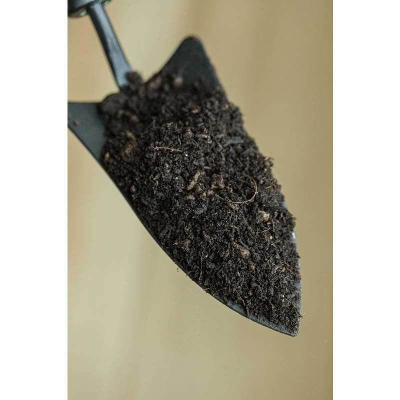 Premium Fiddle Leaf Fig Potting Soil