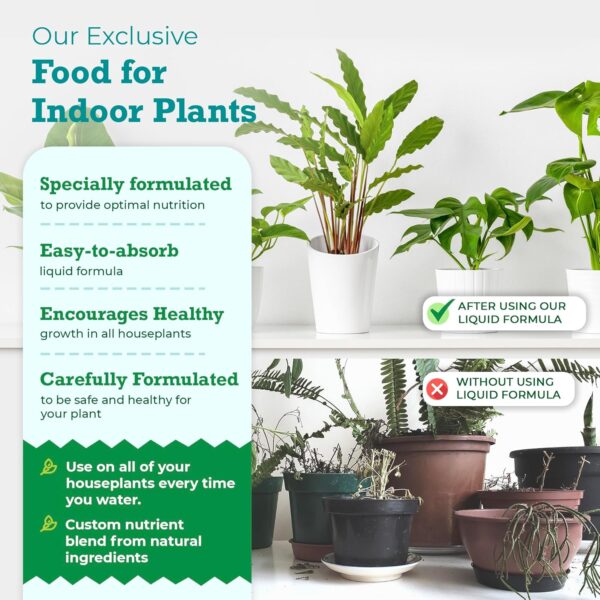 Indoor Plant Food