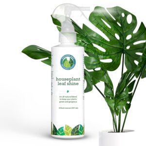 Leaf Shine Spray