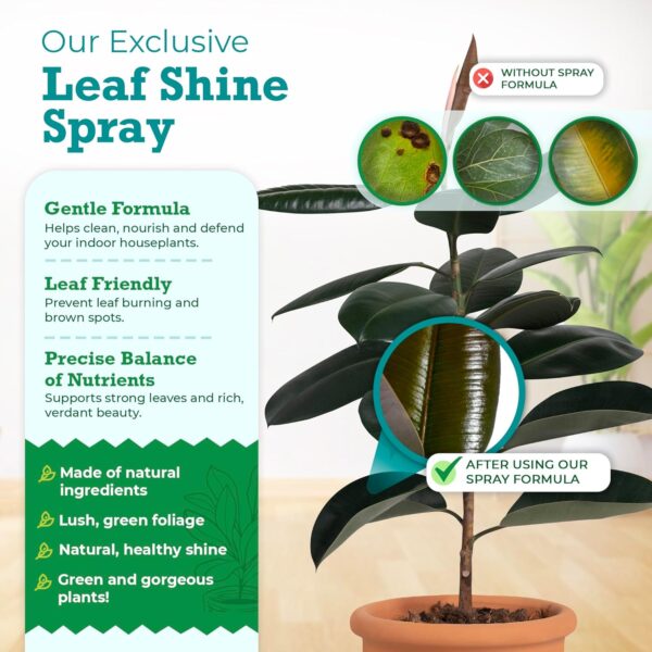 Leaf Shine Spray