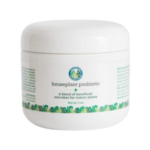 Probiotic Powder