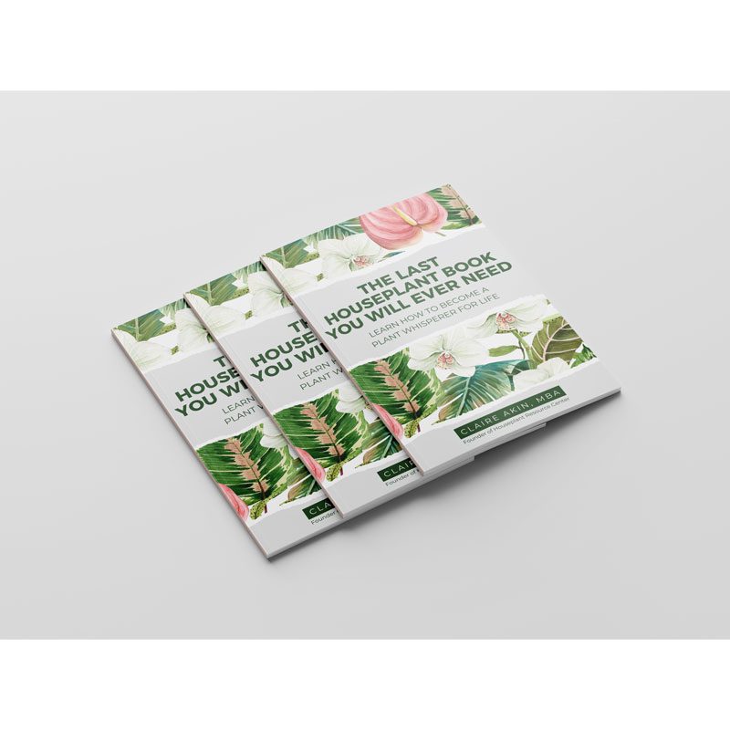 The Last Houseplant Book