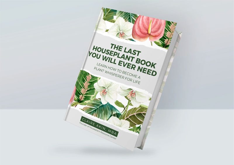 The Last Houseplant Book You Will Ever Need