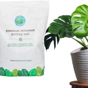 Monstera Potting Soil