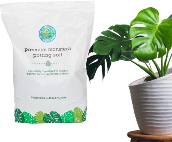 Monstera Potting Soil