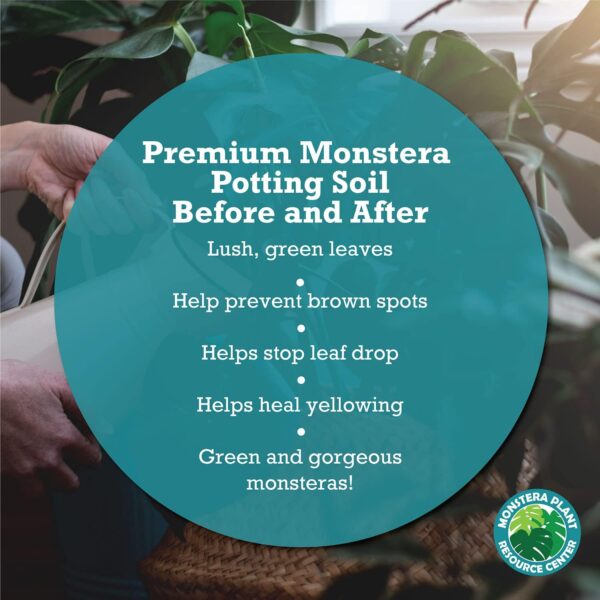 Monstera Potting Soil