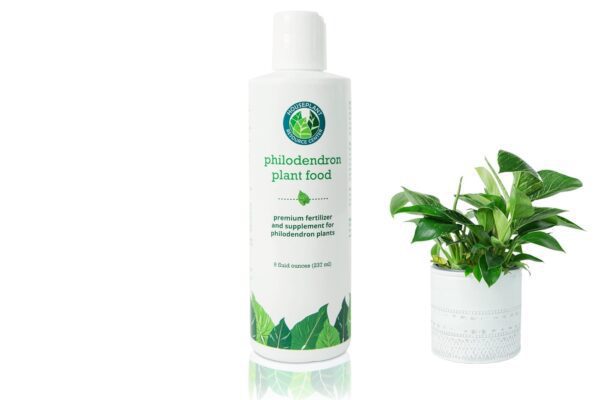 philodendron fertilizer