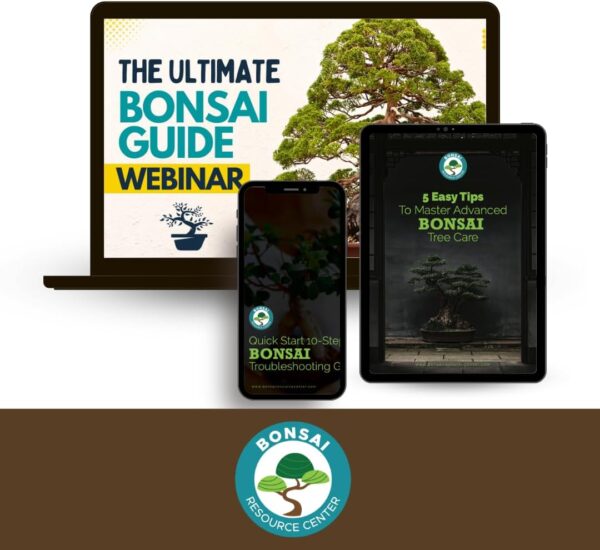 Bonsai Care