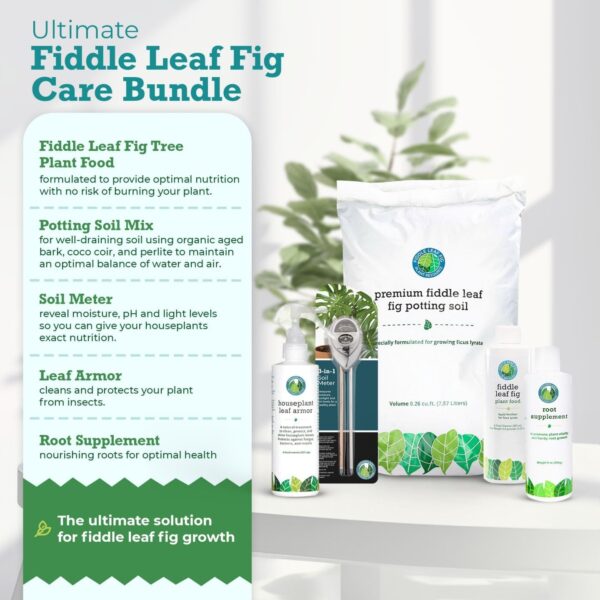 FLF Care