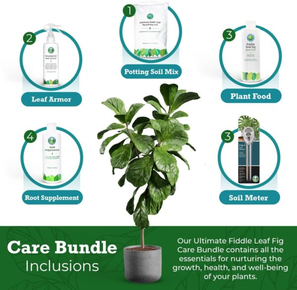 FLF Care