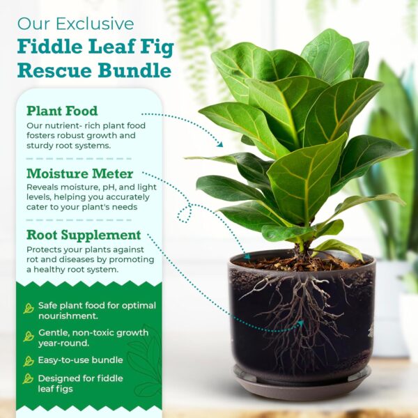 FLF Rescue