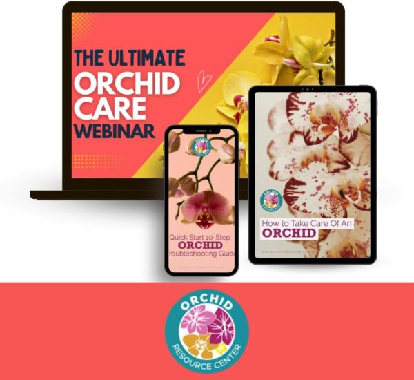 Orchid Care